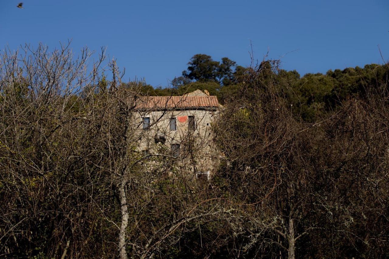 Casa Giacometti Grosseto-Prugna エクステリア 写真