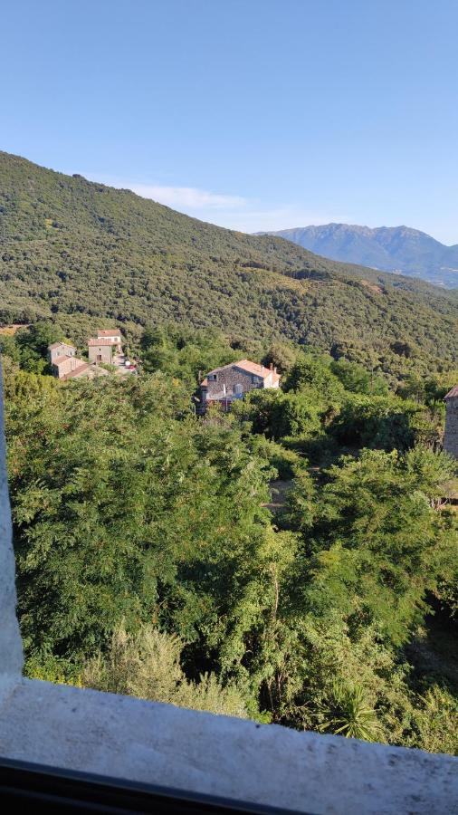 Casa Giacometti Grosseto-Prugna エクステリア 写真